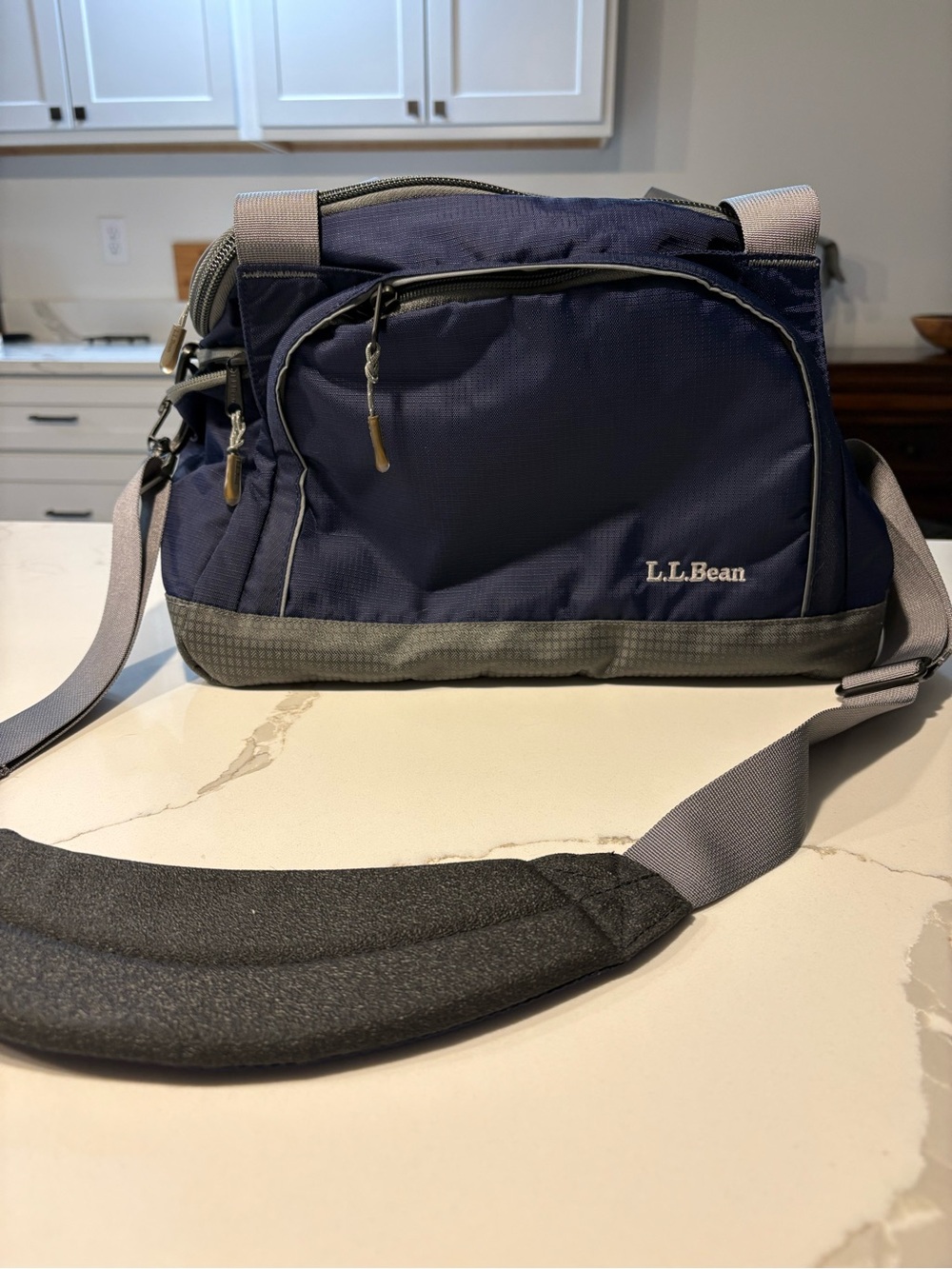 L.L. Bean Blue Insulated Cooler Bag Dual Compartment Shoulder Strap Travel Tote